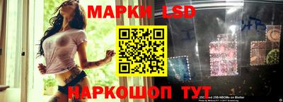 твердый Будённовск